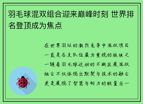 羽毛球混双组合迎来巅峰时刻 世界排名登顶成为焦点