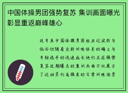 中国体操男团强势复苏 集训画面曝光彰显重返巅峰雄心 中国体操男团强势复苏 集训画面曝光彰显重返巅峰雄心