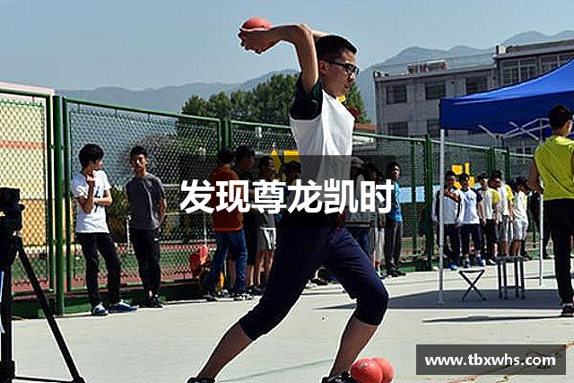 发现尊龙凯时